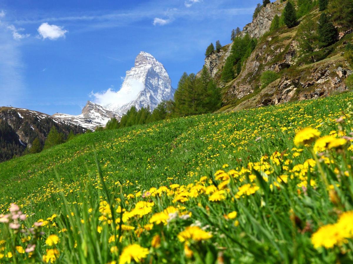 Silence-5 By Interhome * Zermatt
